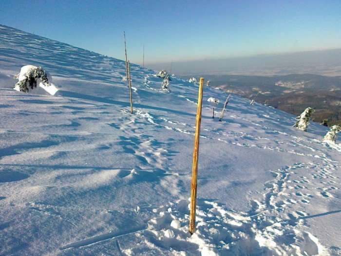 koralowa-sciezka-juz-otwarta-ale-ze-spacerami-ostroznie-38711
