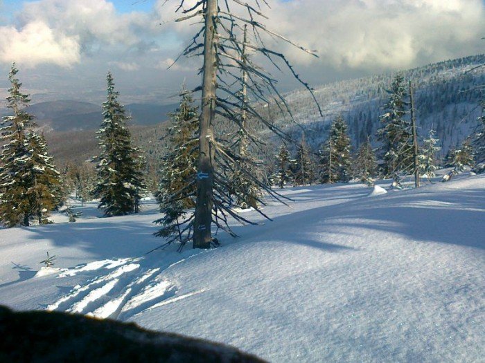 koralowa-sciezka-juz-otwarta-ale-ze-spacerami-ostroznie-38711