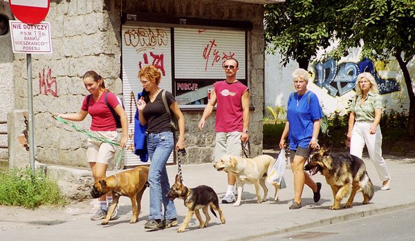 Brak obowiązku płacenia za posiadanie zwierzęcia na pewno ulży portfelom posiadaczy czworonogów.