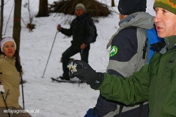 na-rakietach-snieznych-tropami-karkonosza-38856
