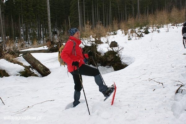 na-rakietach-snieznych-tropami-karkonosza-38856