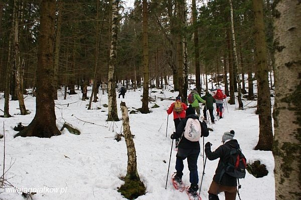 na-rakietach-snieznych-tropami-karkonosza-38856