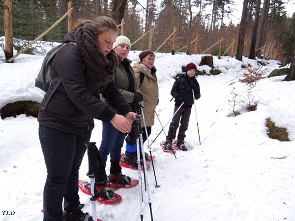 na-rakietach-snieznych-tropami-karkonosza-38856