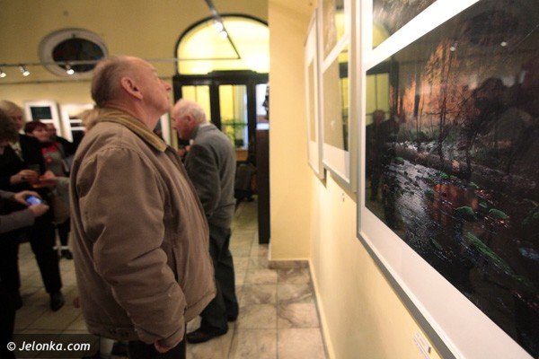 gdybys-niedzwiedziu-w-mateczniku-siedzia-fototajemnice-waldemara-grzelaka-38922