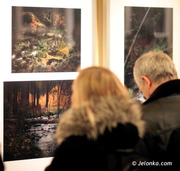 gdybys-niedzwiedziu-w-mateczniku-siedzia-fototajemnice-waldemara-grzelaka-38922