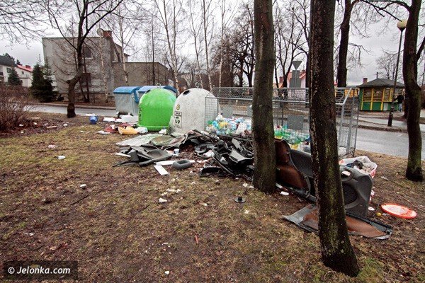 czy-musi-byc-brudno-na-smietniku-38928
