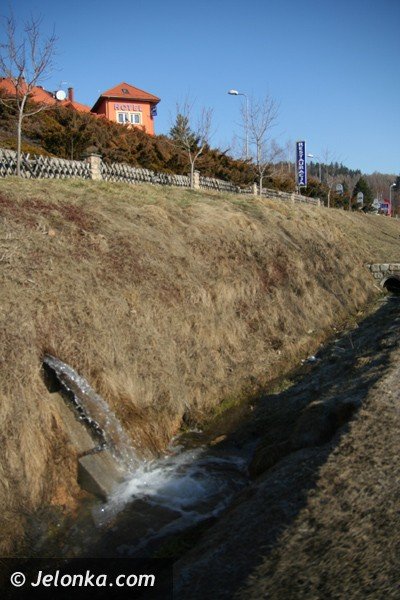 kto-truje-ryby-w-stawie-w-wojcieszycach-38999