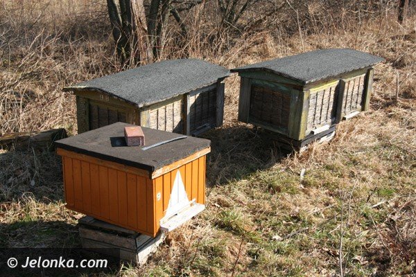 podpalacze-ak-juz-w-akcji-plaga-jak-co-roku-39023
