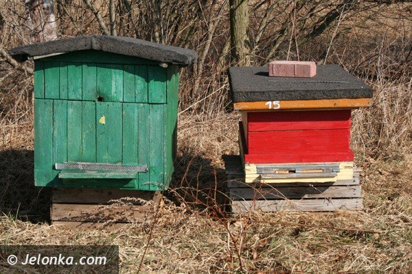 podpalacze-ak-juz-w-akcji-plaga-jak-co-roku-39023