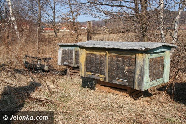podpalacze-ak-juz-w-akcji-plaga-jak-co-roku-39023