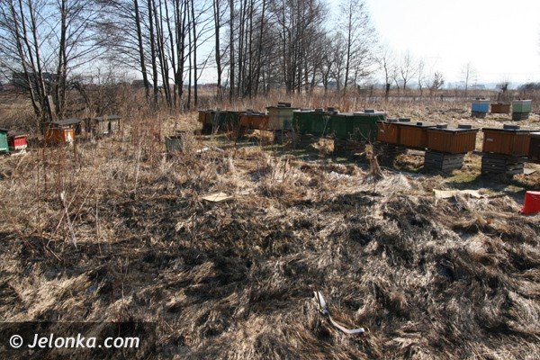podpalacze-ak-juz-w-akcji-plaga-jak-co-roku-39023