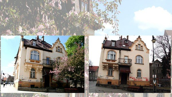 do-jelonki-napisali-komu-przeszkadzay-drzewa-w-zdroju-39062