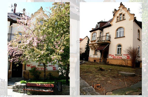 do-jelonki-napisali-komu-przeszkadzay-drzewa-w-zdroju-39062