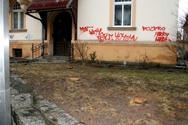 do-jelonki-napisali-komu-przeszkadzay-drzewa-w-zdroju-39062