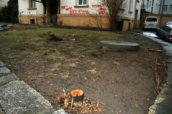 do-jelonki-napisali-komu-przeszkadzay-drzewa-w-zdroju-39062