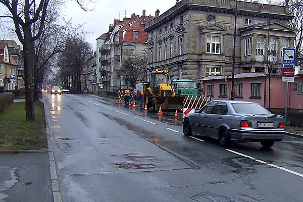 zwolnij-koo-sadu-3914