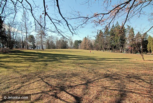 nadesza-wiosna-nietypowo-bo-dzien-wczesniej-39203