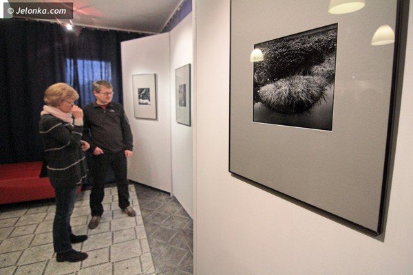 jak-czarnobiae-pery-fotografie-janiny-hobgarskiej-w-muflonie-39227
