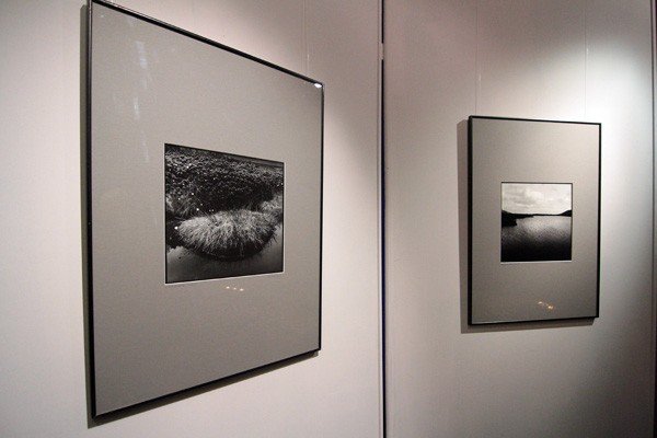 jak-czarnobiae-pery-fotografie-janiny-hobgarskiej-w-muflonie-39227