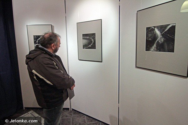 jak-czarnobiae-pery-fotografie-janiny-hobgarskiej-w-muflonie-39227