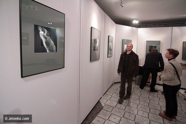 jak-czarnobiae-pery-fotografie-janiny-hobgarskiej-w-muflonie-39227