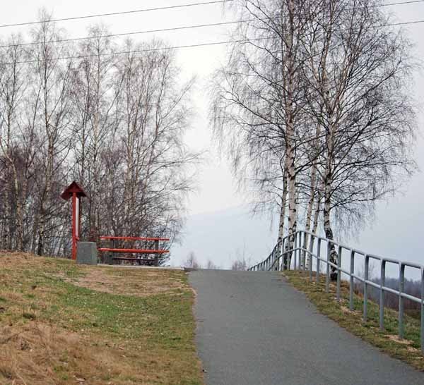 trakt-dla-cyklistow-brudne-pobocza-przystanki-tylko-na-fragmencie-sciezki-39322