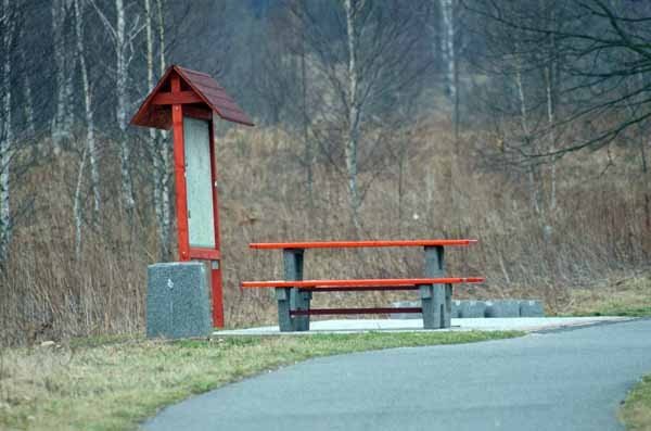 trakt-dla-cyklistow-brudne-pobocza-przystanki-tylko-na-fragmencie-sciezki-39322