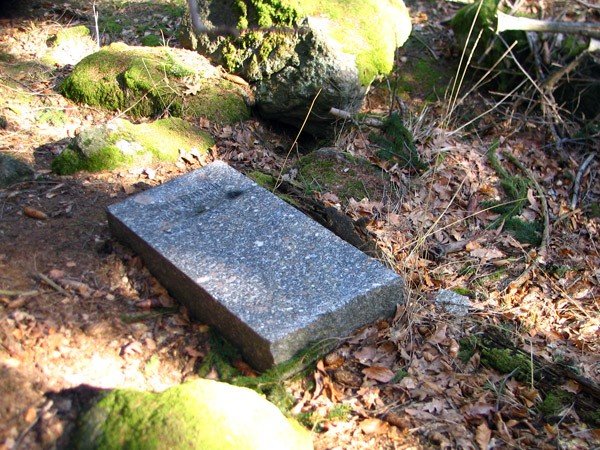 do-jelonki-napisali-szukaja-skarbow-na-zdewastowanym-cmentarzu-39323
