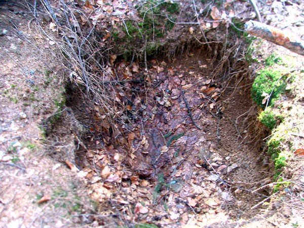 do-jelonki-napisali-szukaja-skarbow-na-zdewastowanym-cmentarzu-39323