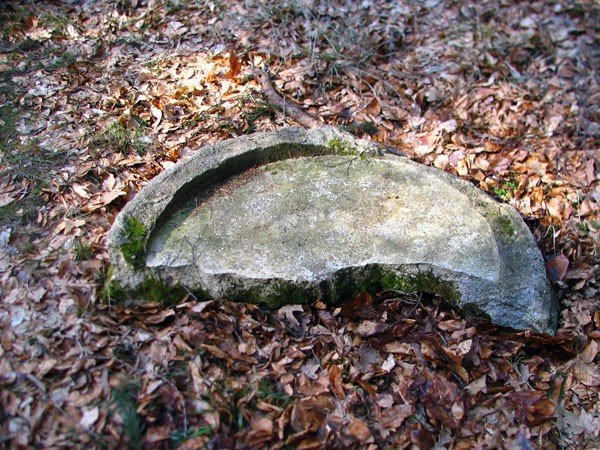 do-jelonki-napisali-szukaja-skarbow-na-zdewastowanym-cmentarzu-39323