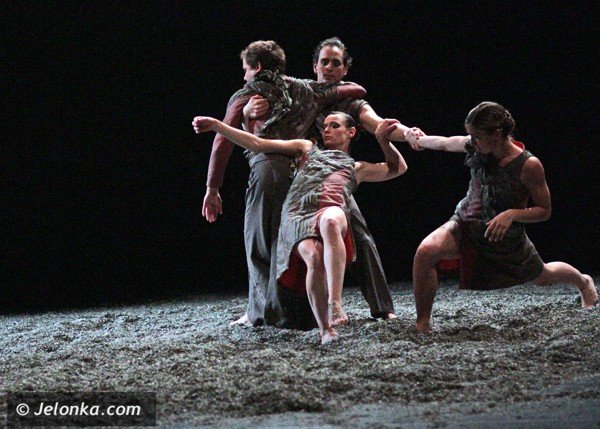 potrojna-feta-w-zdrojowym-teatrze-animacji-39339