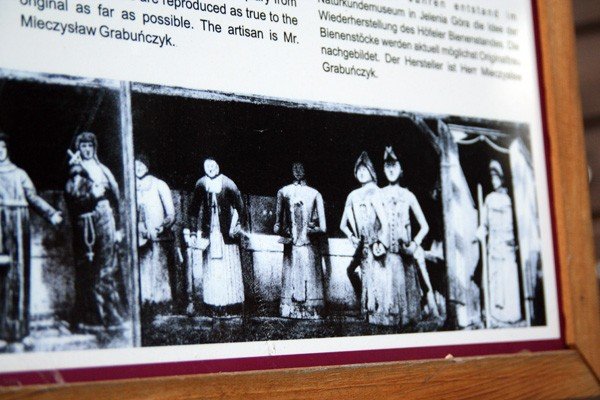 pasieka-karkonoska-poszerzy-sie-o-oryginalny-ul-39355
