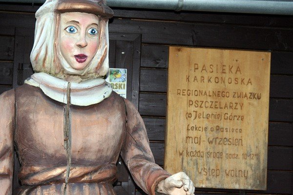pasieka-karkonoska-poszerzy-sie-o-oryginalny-ul-39355