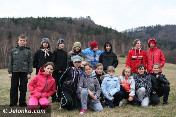 karkonoskie-krokusy-zalsniy-fioletem-u-podnoza-zamku-chojnik-39375