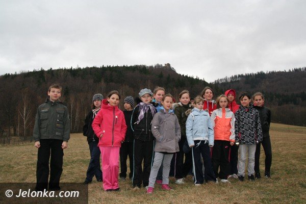 karkonoskie-krokusy-zalsniy-fioletem-u-podnoza-zamku-chojnik-39375