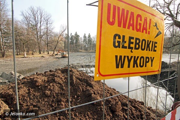 w-trakcie-sezonu-legowego-ptakow-zablokowano-wycinke-drzew-w-parku-norweskim-39387