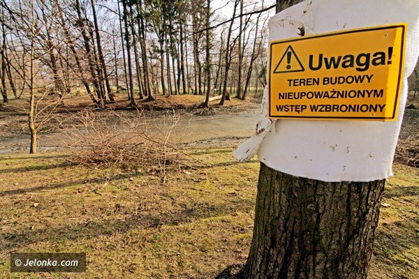 w-trakcie-sezonu-legowego-ptakow-zablokowano-wycinke-drzew-w-parku-norweskim-39387