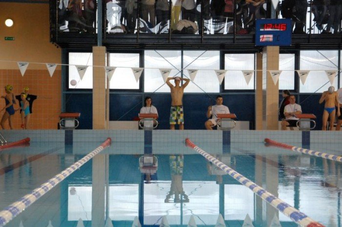 21-medali-pywakow-mukp-just-swim-foto-39455