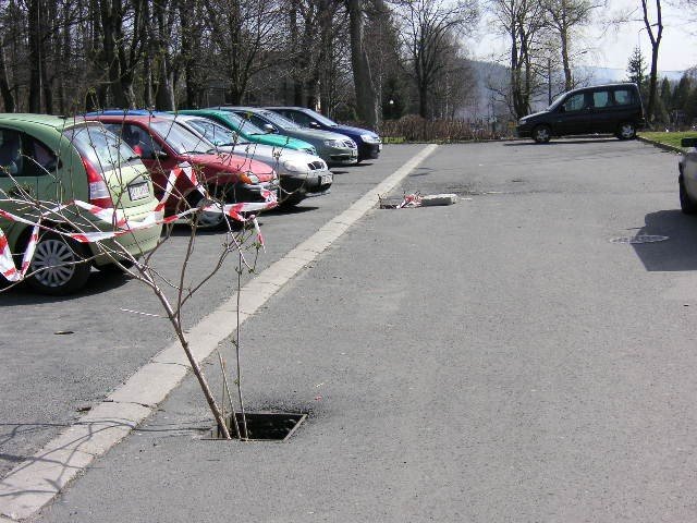 skradzione-kratki-zeliwne-zastapiono-patykami-39467