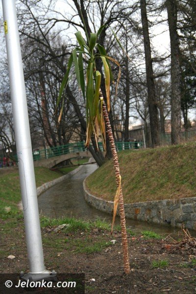 gruzy-na-brzegach-brudy-w-wodzie-strasznie-nad-mynowka-39533