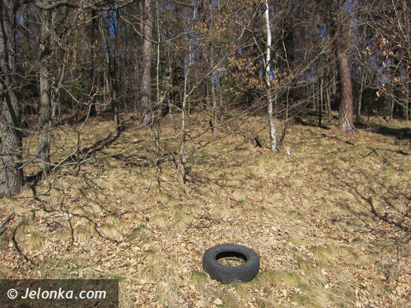 oponowe-smietniska-w-lasach-i-na-akach-39560