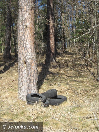 oponowe-smietniska-w-lasach-i-na-akach-39560