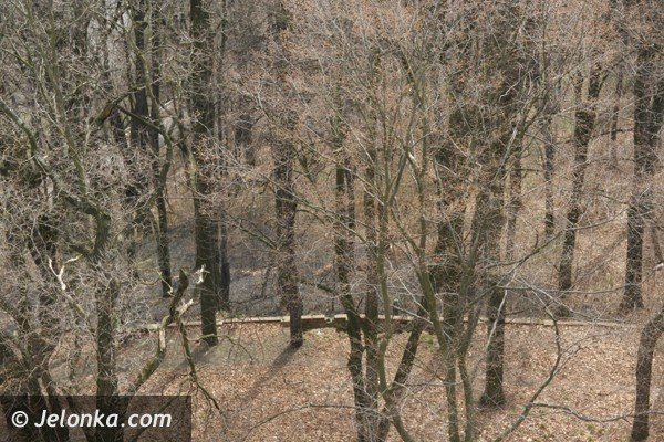 wieza-widokowa-na-wzgorzu-krzywoustego-dwa-lata-po-remoncie-juz-zdemolowana-39608