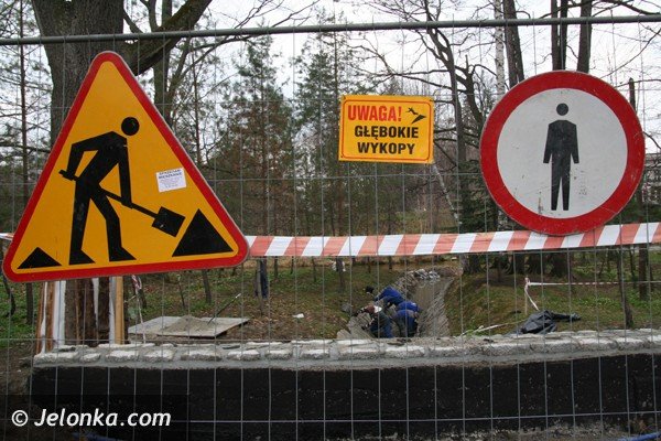 staw-w-parku-norweskim-nabiera-nowych-ksztatow-39625