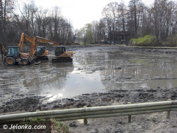 staw-w-parku-norweskim-nabiera-nowych-ksztatow-39625