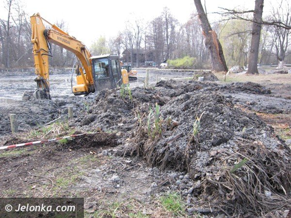 staw-w-parku-norweskim-nabiera-nowych-ksztatow-39625