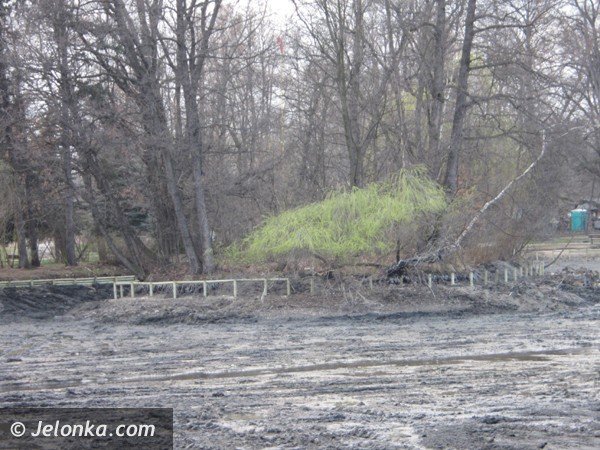 staw-w-parku-norweskim-nabiera-nowych-ksztatow-39625