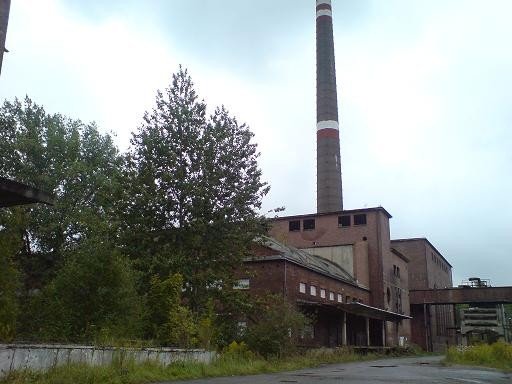 chinczycy-nadzieja-dla-jeleniej-gory-39647