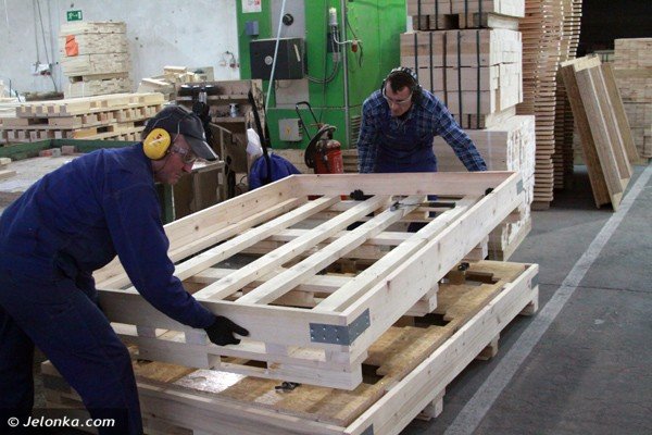 beda-nowe-miejsca-pracy-w-zakadzie-drzewnym-w-jeleniej-gorze-39660