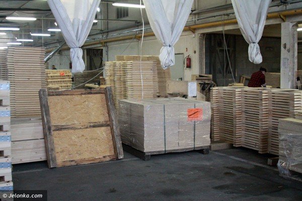 beda-nowe-miejsca-pracy-w-zakadzie-drzewnym-w-jeleniej-gorze-39660